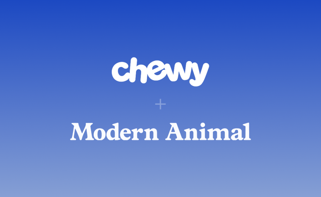 Chewy Modern Animal deal