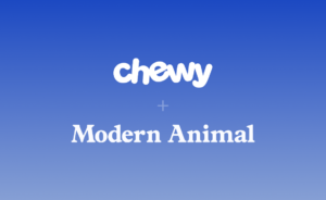 Chewy Modern Animal deal